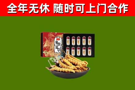 大同区回收冬虫夏草价格